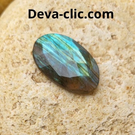 Cabochon ovale Labradorite verte