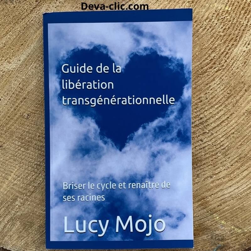Livre constellation familiale rupture lien transgénérationel